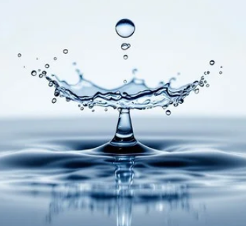 SPLASH platform